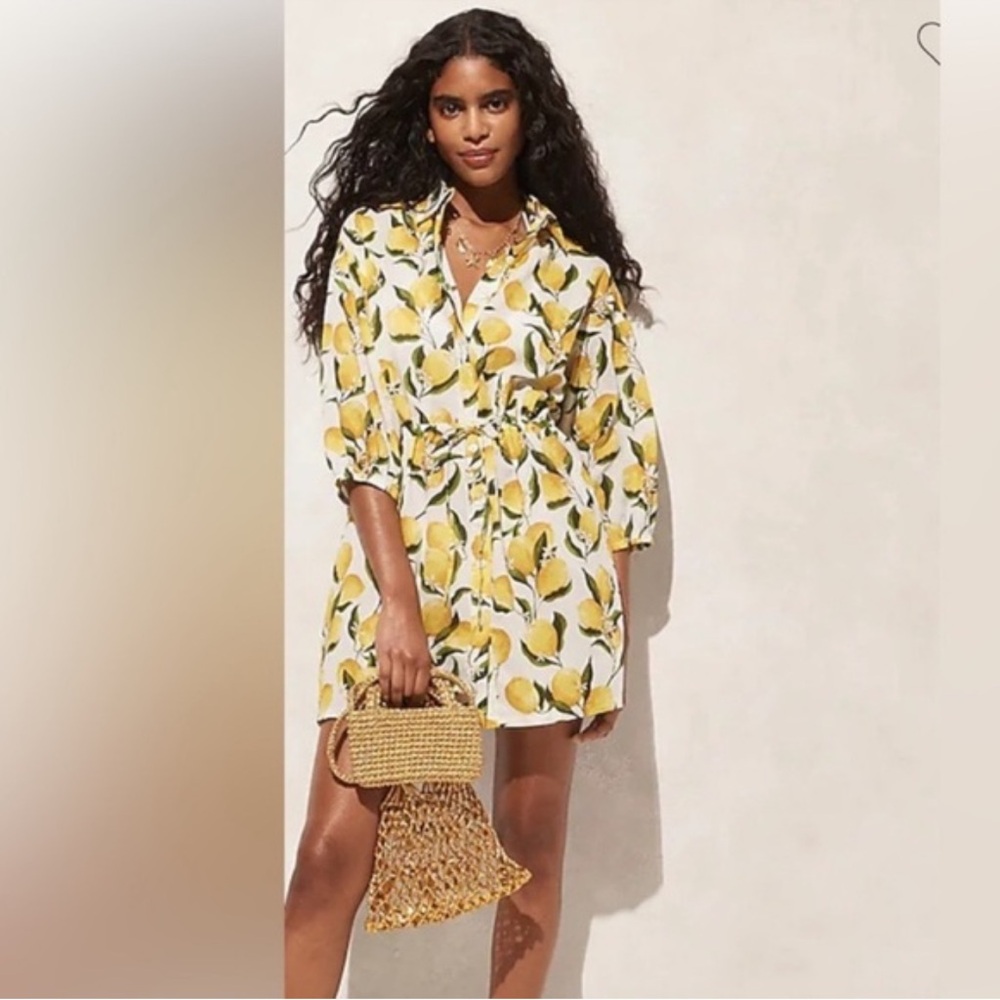 J Crew Cinch Waist Shirt Dress in Lemon Print Limoncello Voile Button-Up Dress - Picture 2 of 15